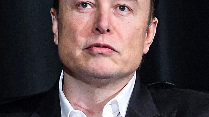 Elon Musk, fondatorul SpaceX, în declarații publice