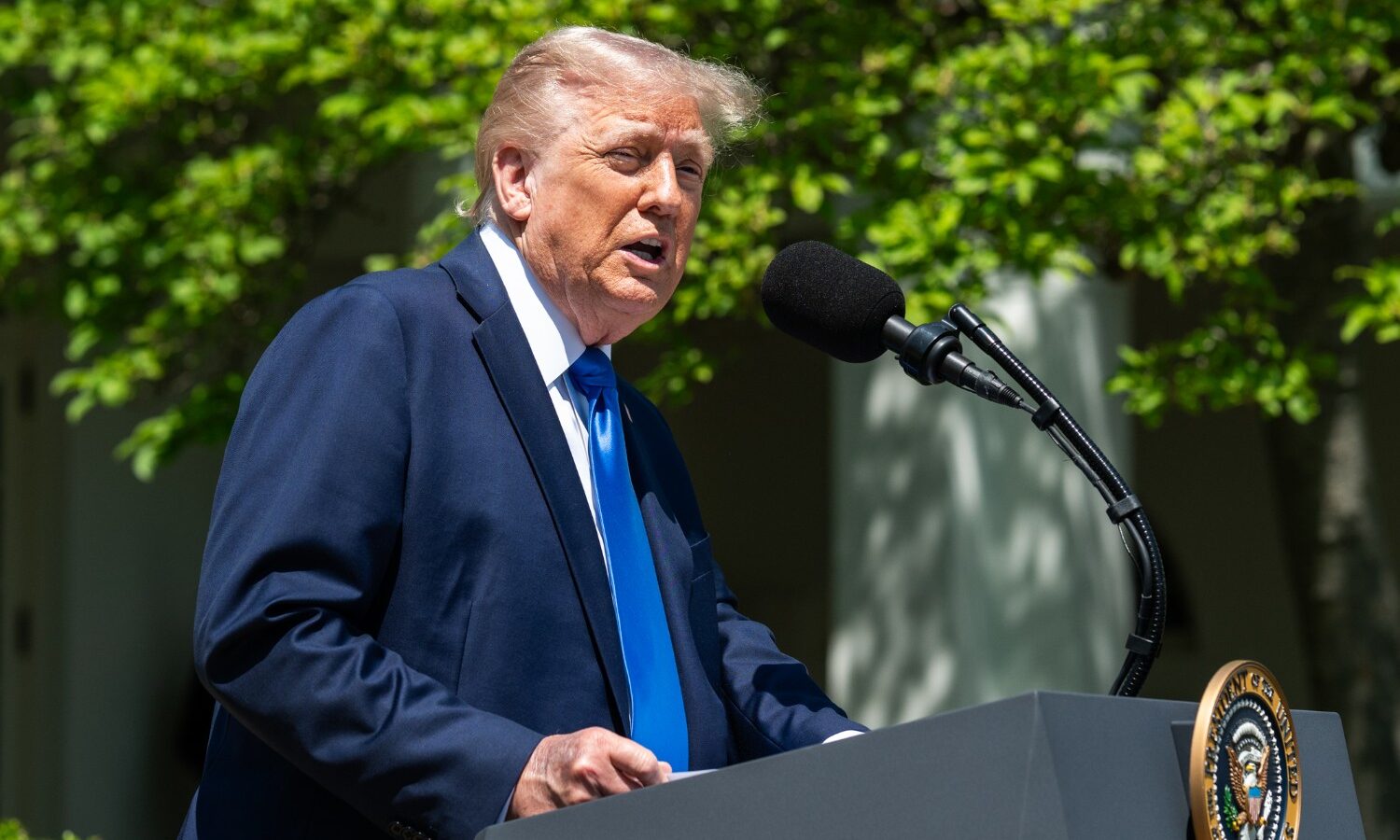 Trump a marcat 250 de ani ai SUA cu un discurs politic, întârziat de furtună pe National Mall