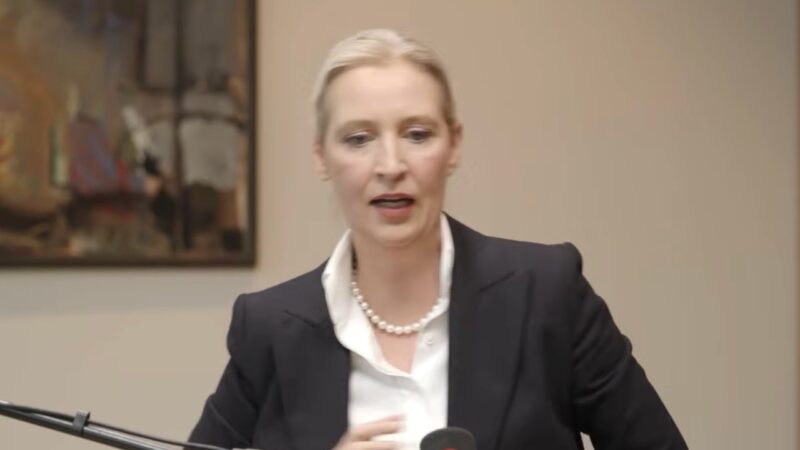 Alice Weidel, lidera AfD, în interviul acordat revistei The Economist